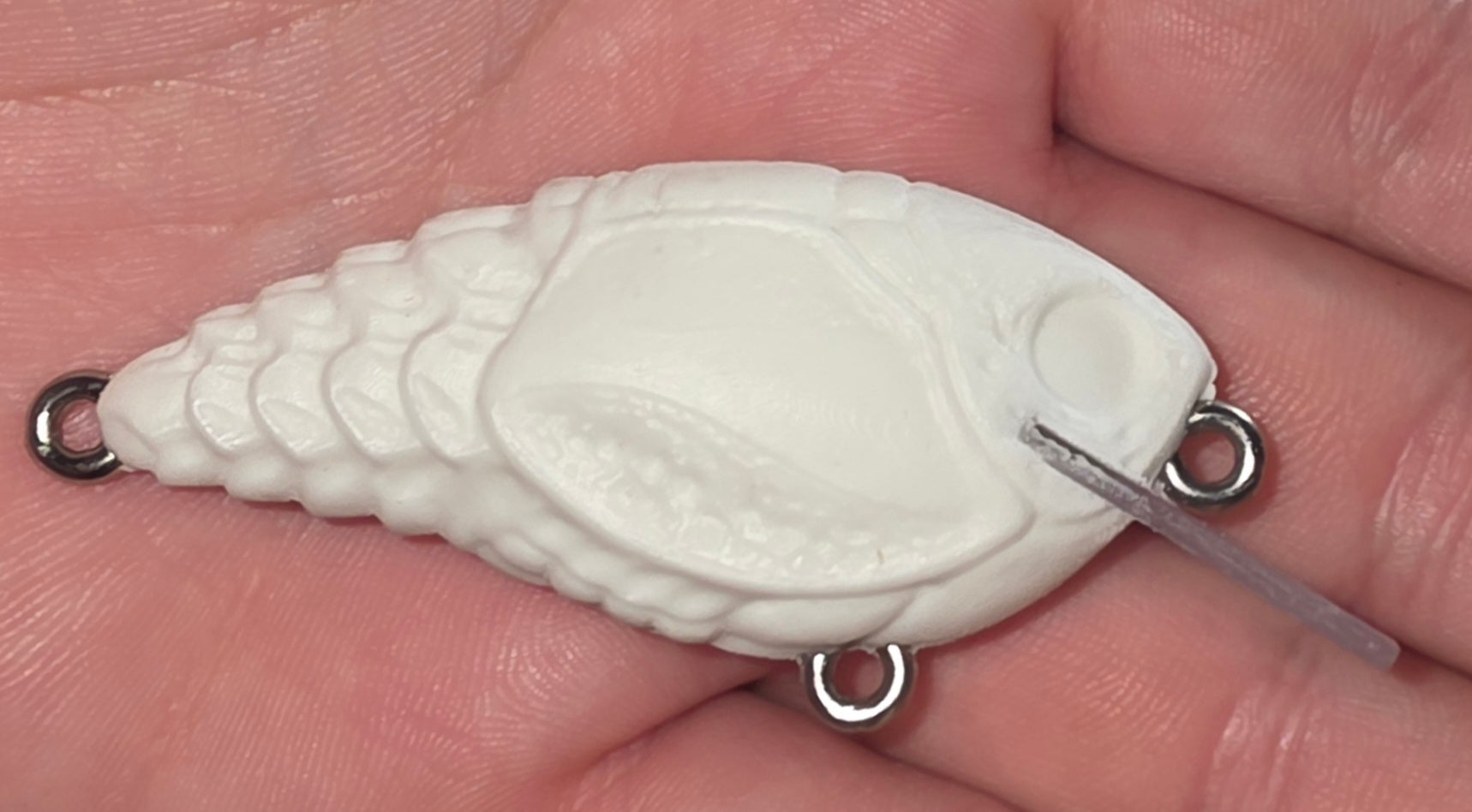 Crayform 6 Lure Blanks
